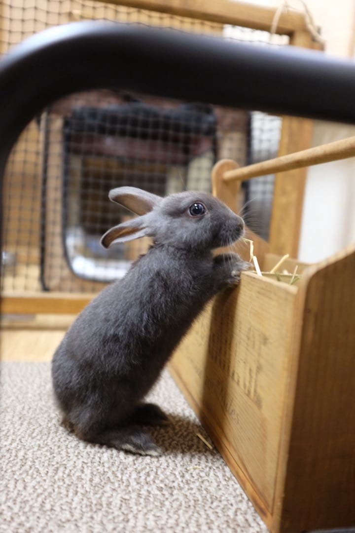 最終価格です。富士フィルム　X100S