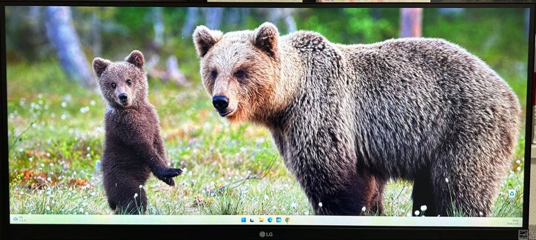 LG 29インチモニター 平面ウルトラワイド 29WQ600-W