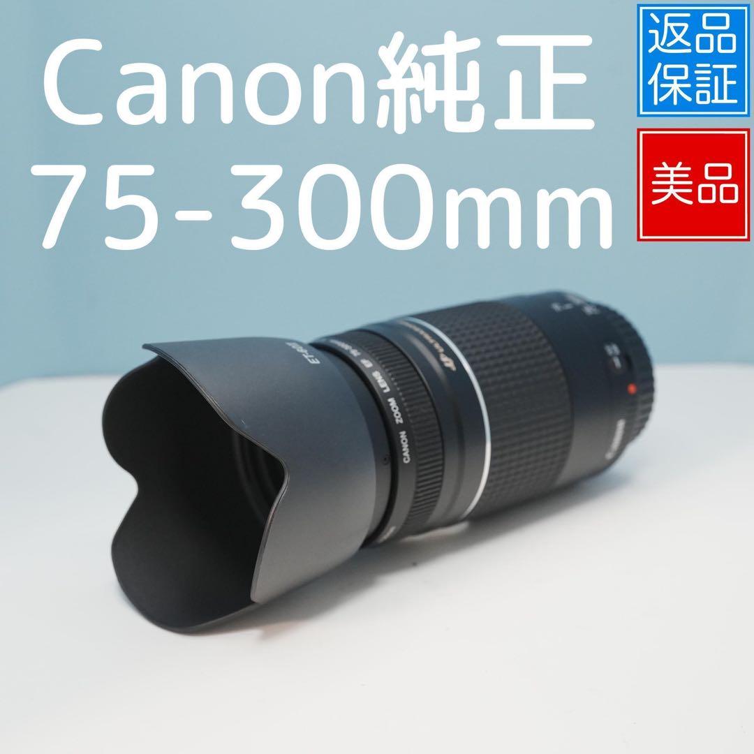 Canon純正 75-300mm 望遠レンズ 極美品 a5203