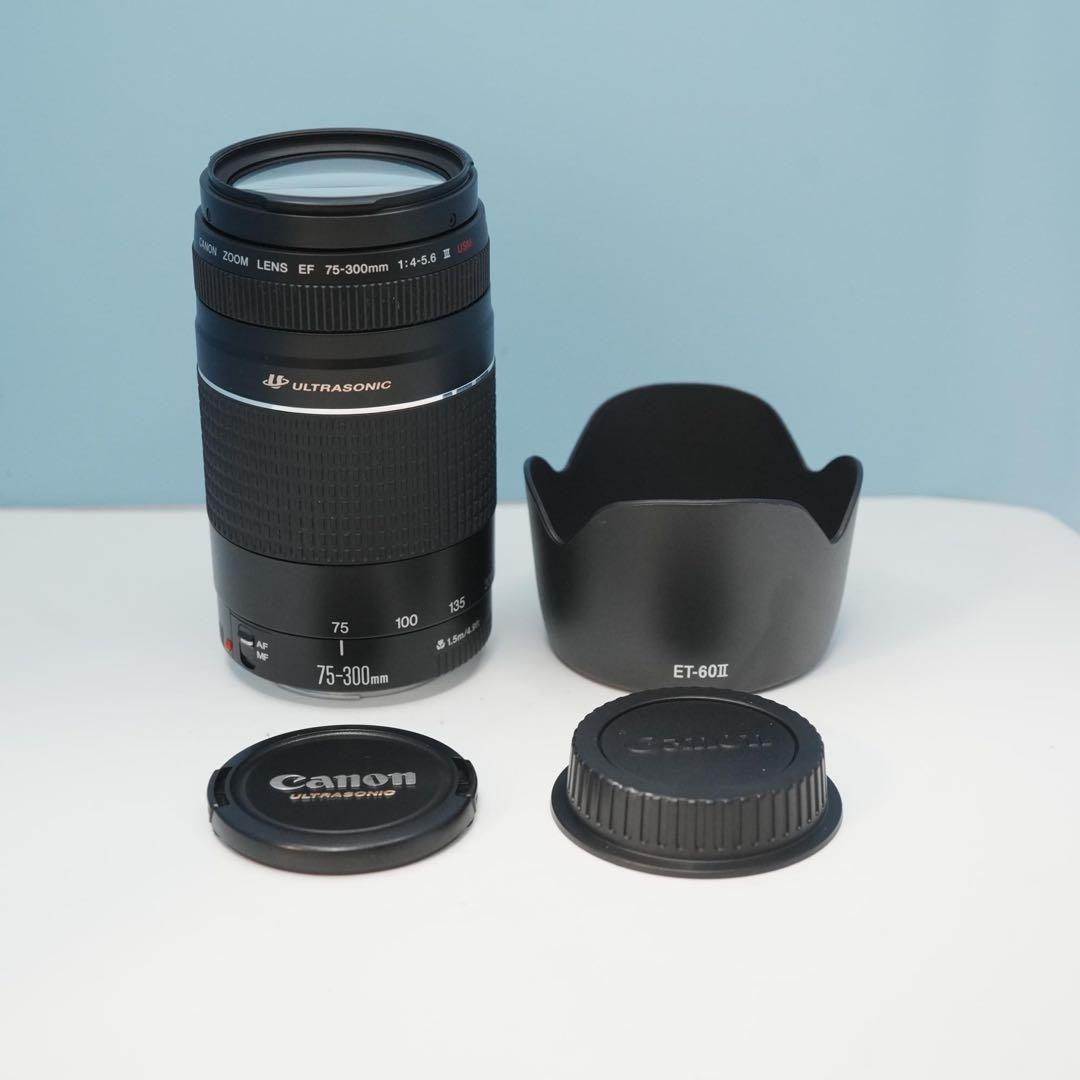 Canon純正 75-300mm 望遠レンズ 極美品 a5203