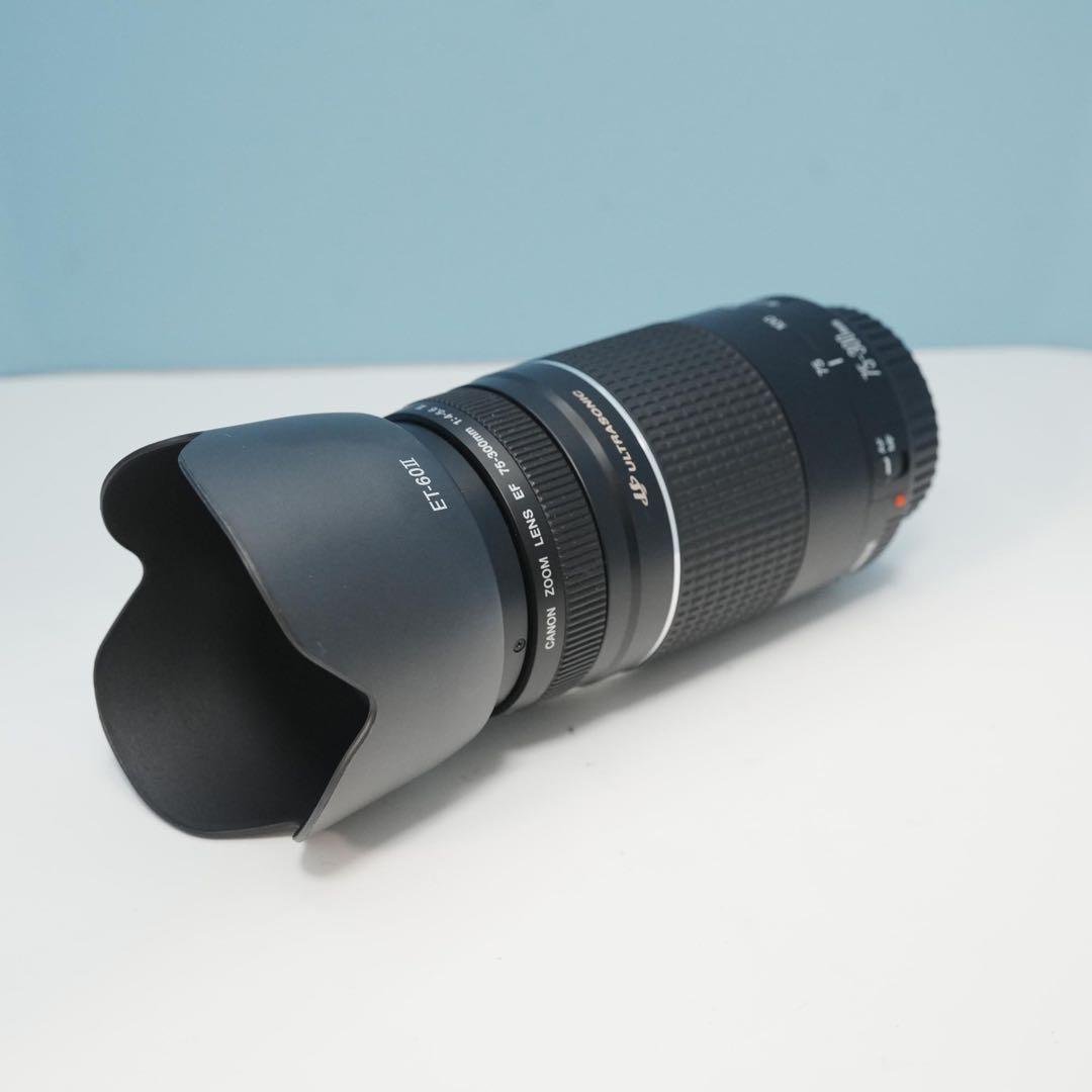 Canon純正 75-300mm 望遠レンズ 極美品 a5203