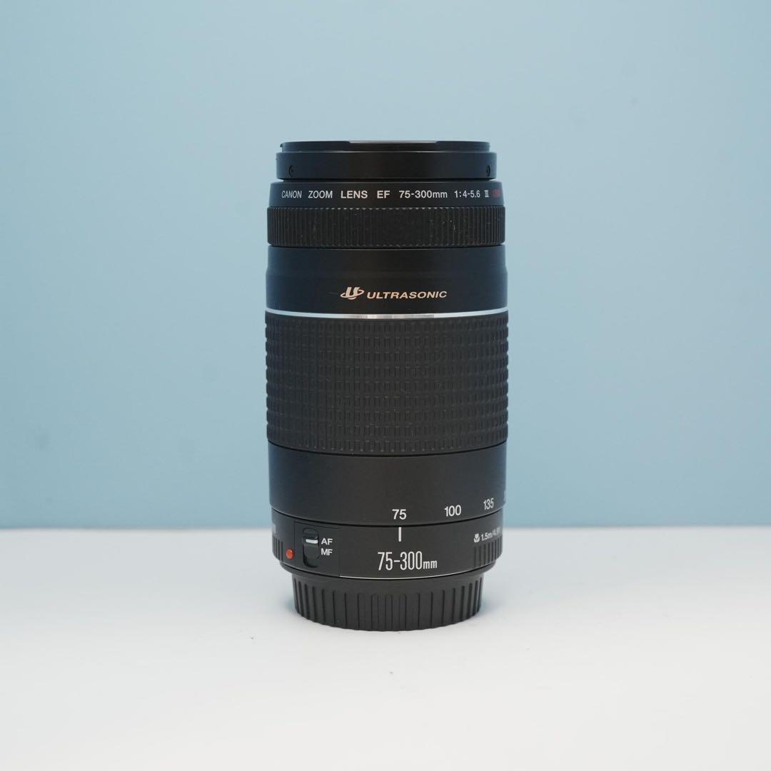 Canon純正 75-300mm 望遠レンズ 極美品 a5203