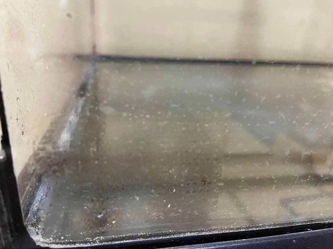 グラステラリウム6030