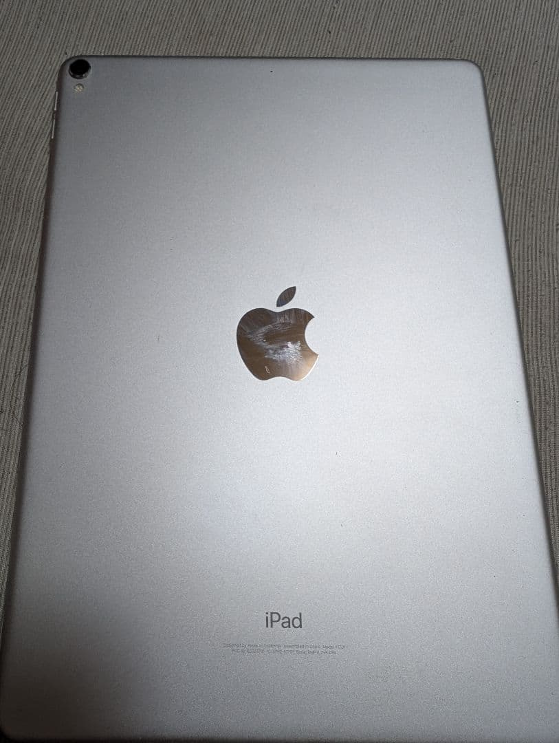 iPad Pro 10.5インチ本体のみホワイトスポット有