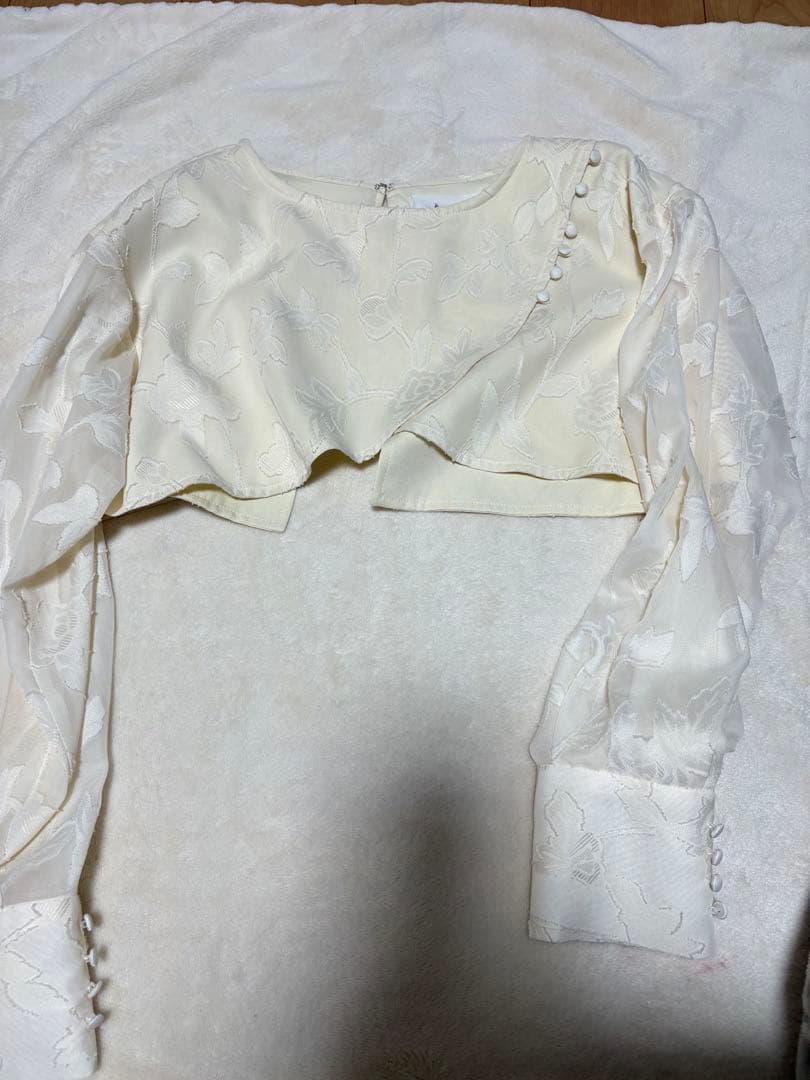 トップス Eaphi leaf jacquard sheer dress ivory