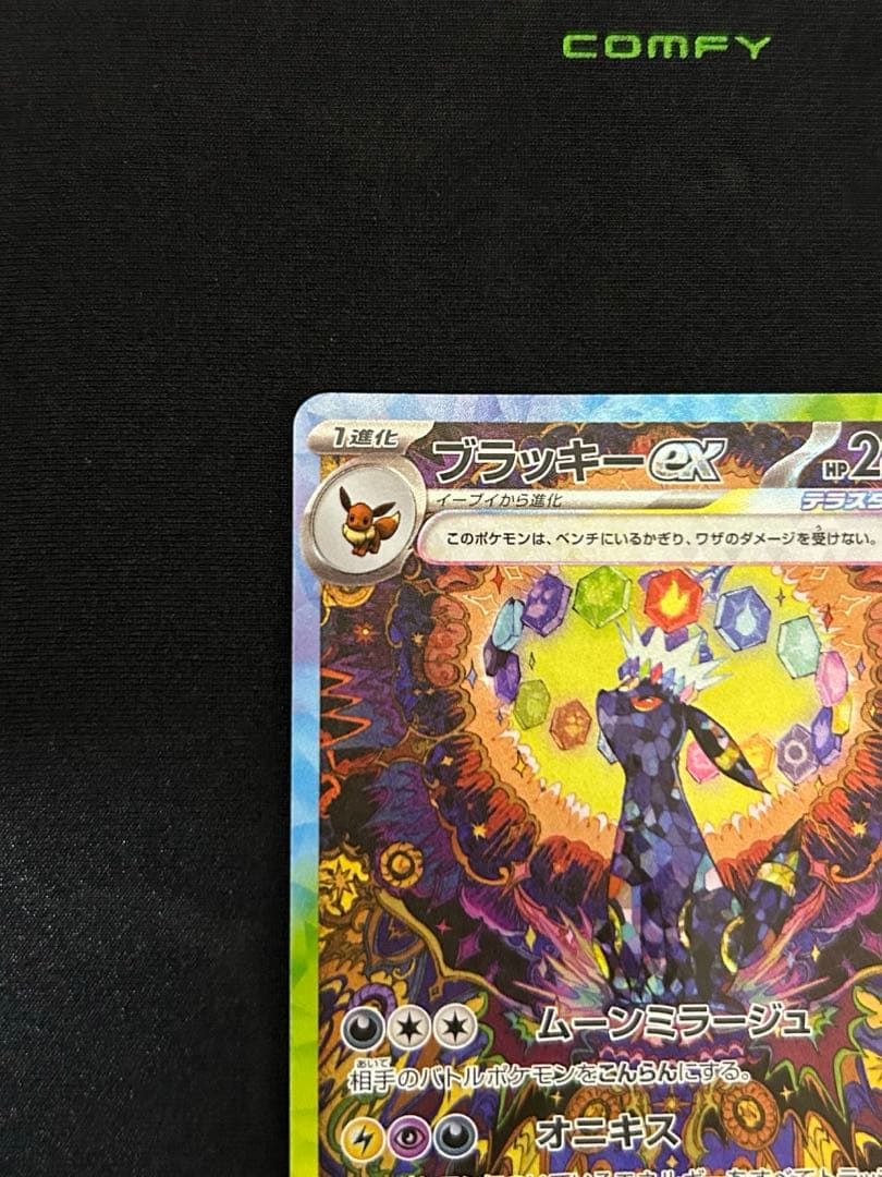 ブラッキーEX SAR テラスタルフェス