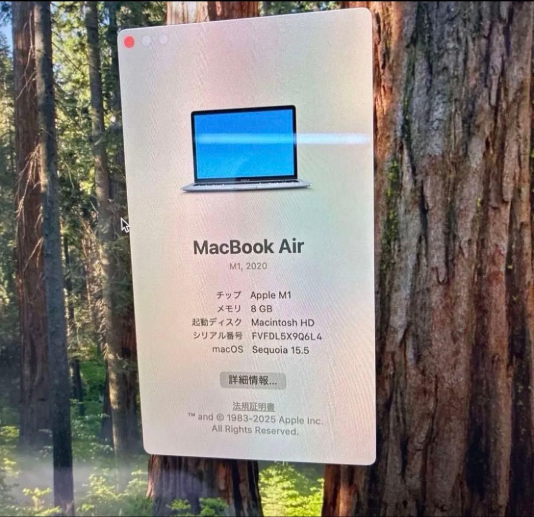 MacBook本体 Apple MacBook Air (M1, 2020)