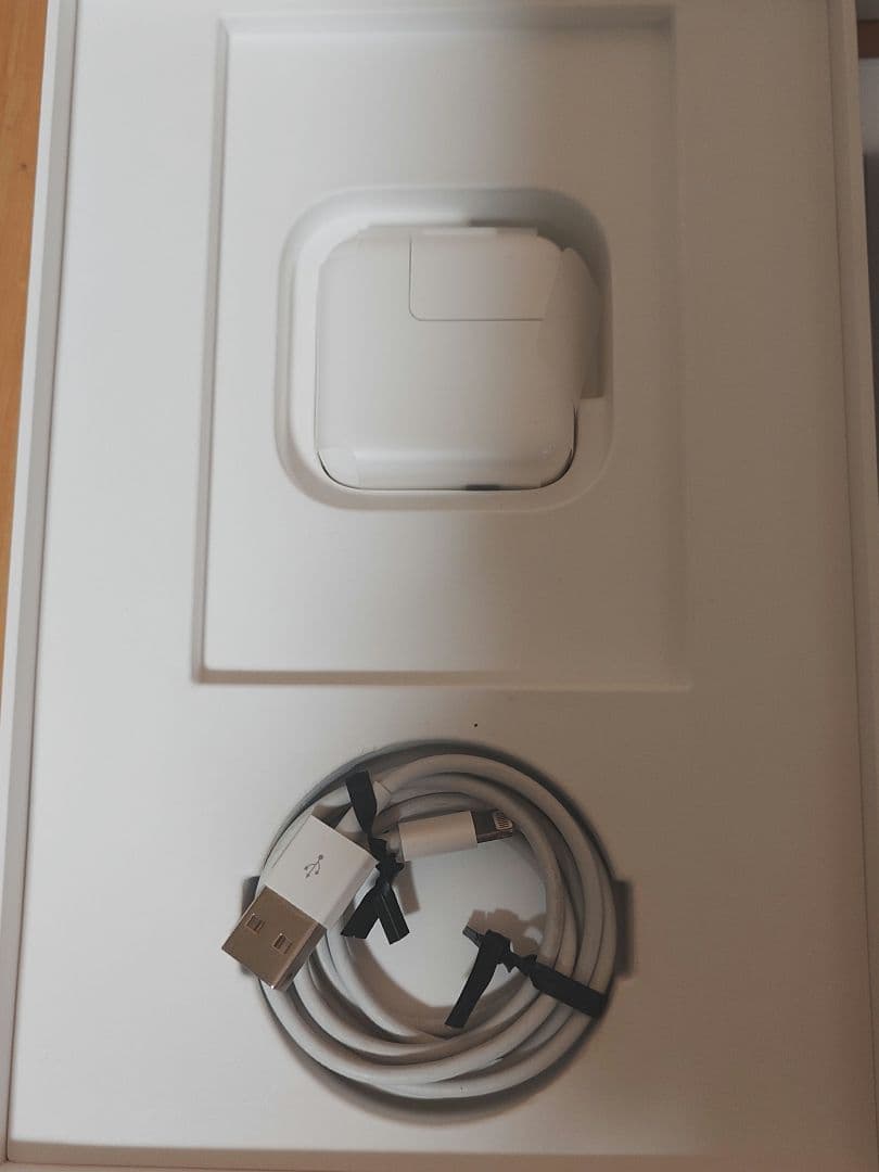 iPad mini 第5世代 64GB SIMフリー A2124 電池93％