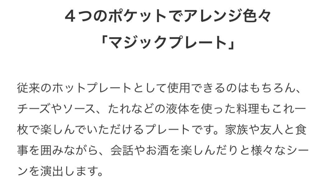 9月末迄限定出品♡新品未使用⭐︎アラジングラファイトグリラー型式CAG-G13B