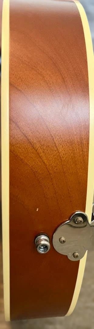 Godin 5th Avenue Kingpin P90 改良仕様 ノイズ対策済