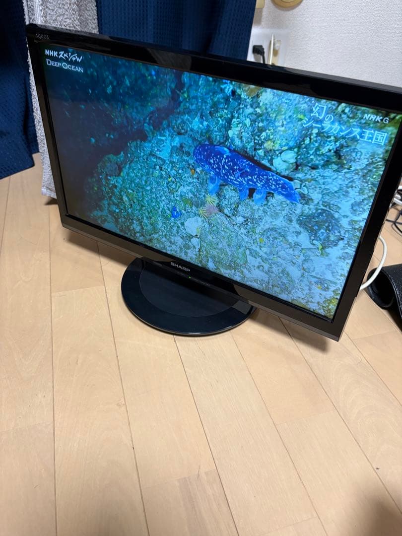 SHARP 液晶テレビ19インチ AQUOS LC-19P5 2018年製