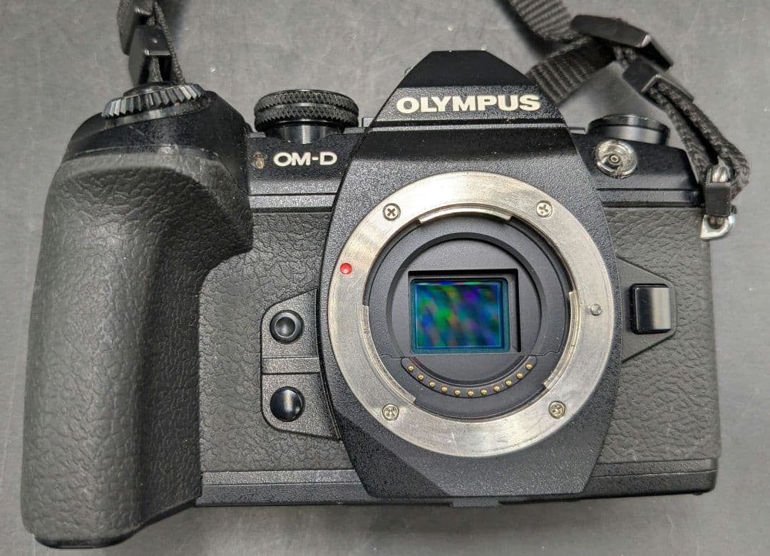 涛 刘 オリンパス OLYMPUS OM-D E-M1II 12-40mm