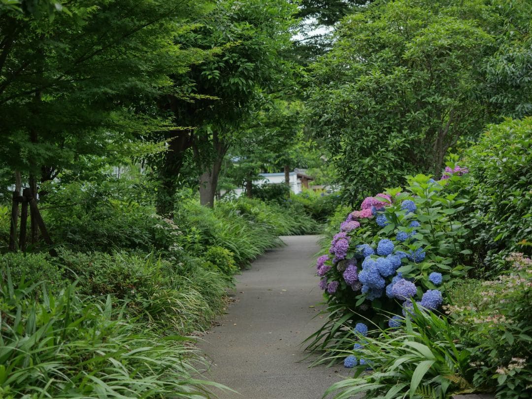 【美品】Panasonic LUMIX DC-G99 ボディ 付属品、カプラ付