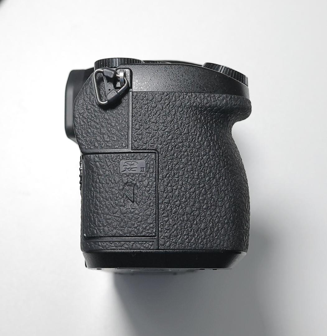 【美品】Panasonic LUMIX DC-G99 ボディ 付属品、カプラ付