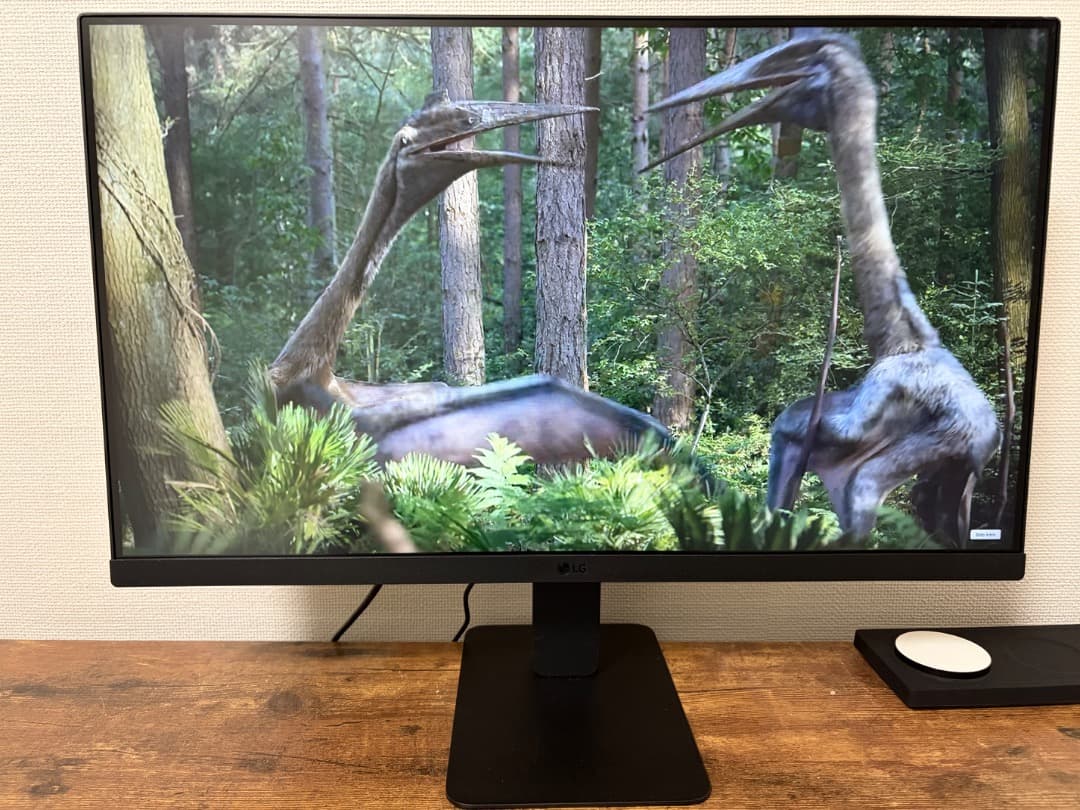 R*N様 LG 24U631A-B 23.8型 WQHD モニター