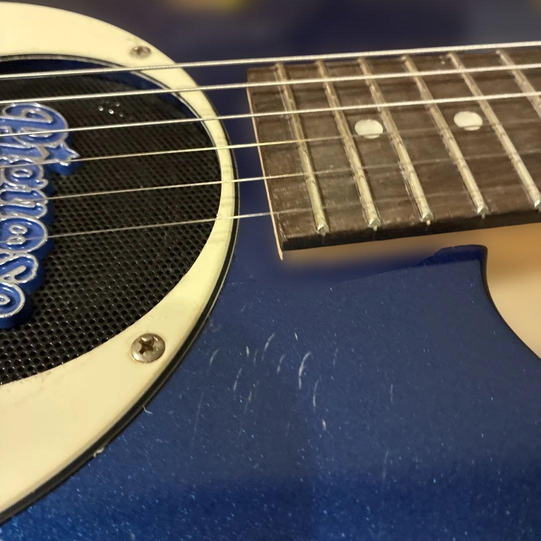 ピグノーズPGG200 青