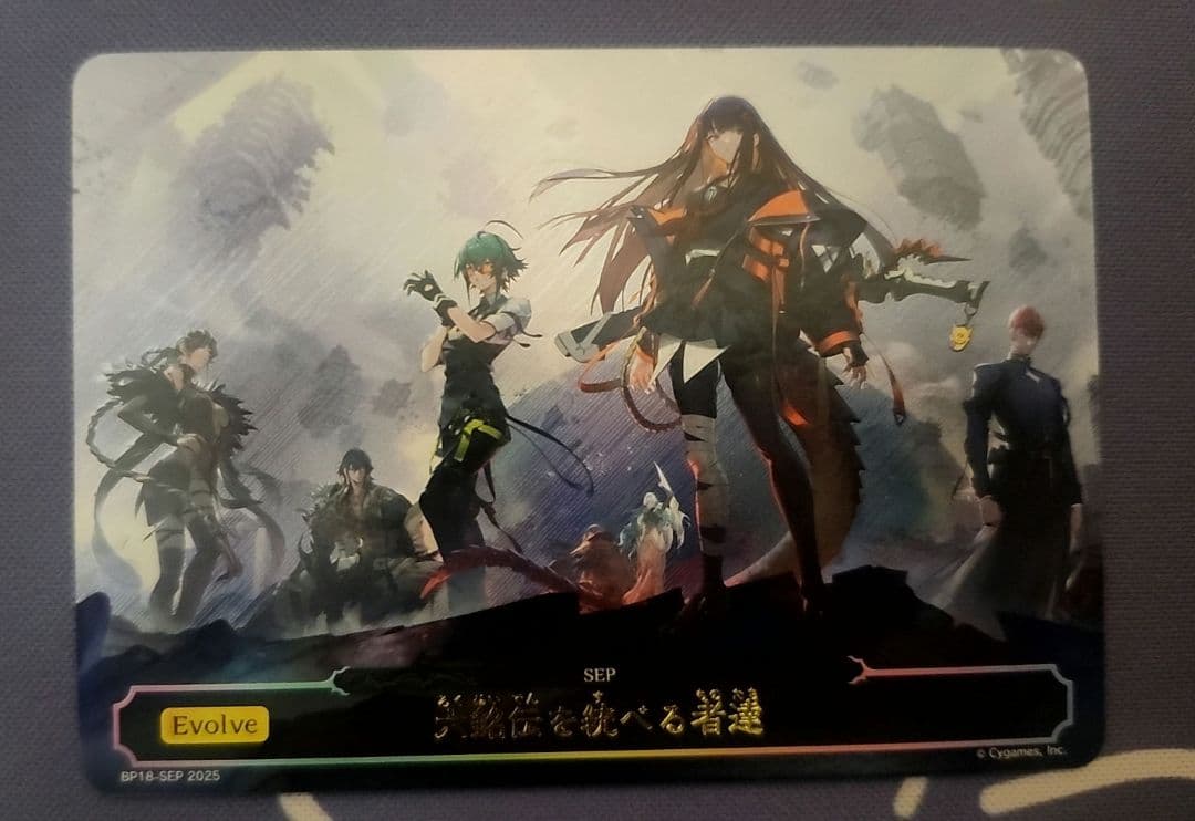 六銘伝を統べる者達　シャドバ　シャドウバースエボルヴ　キャンペーン応募カード