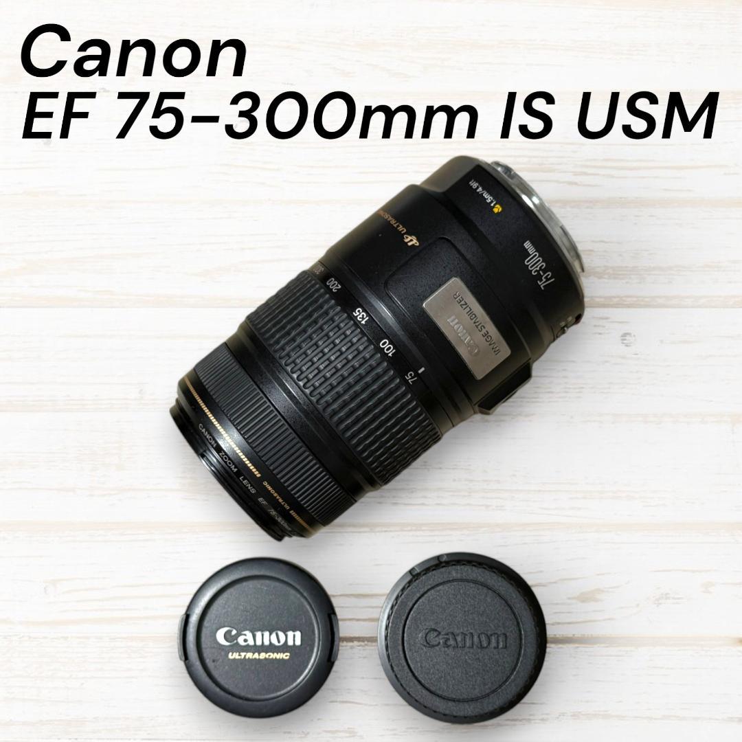 レンズ(ズーム) Canon EF 75-300mm F4-5.6 IS USM #94