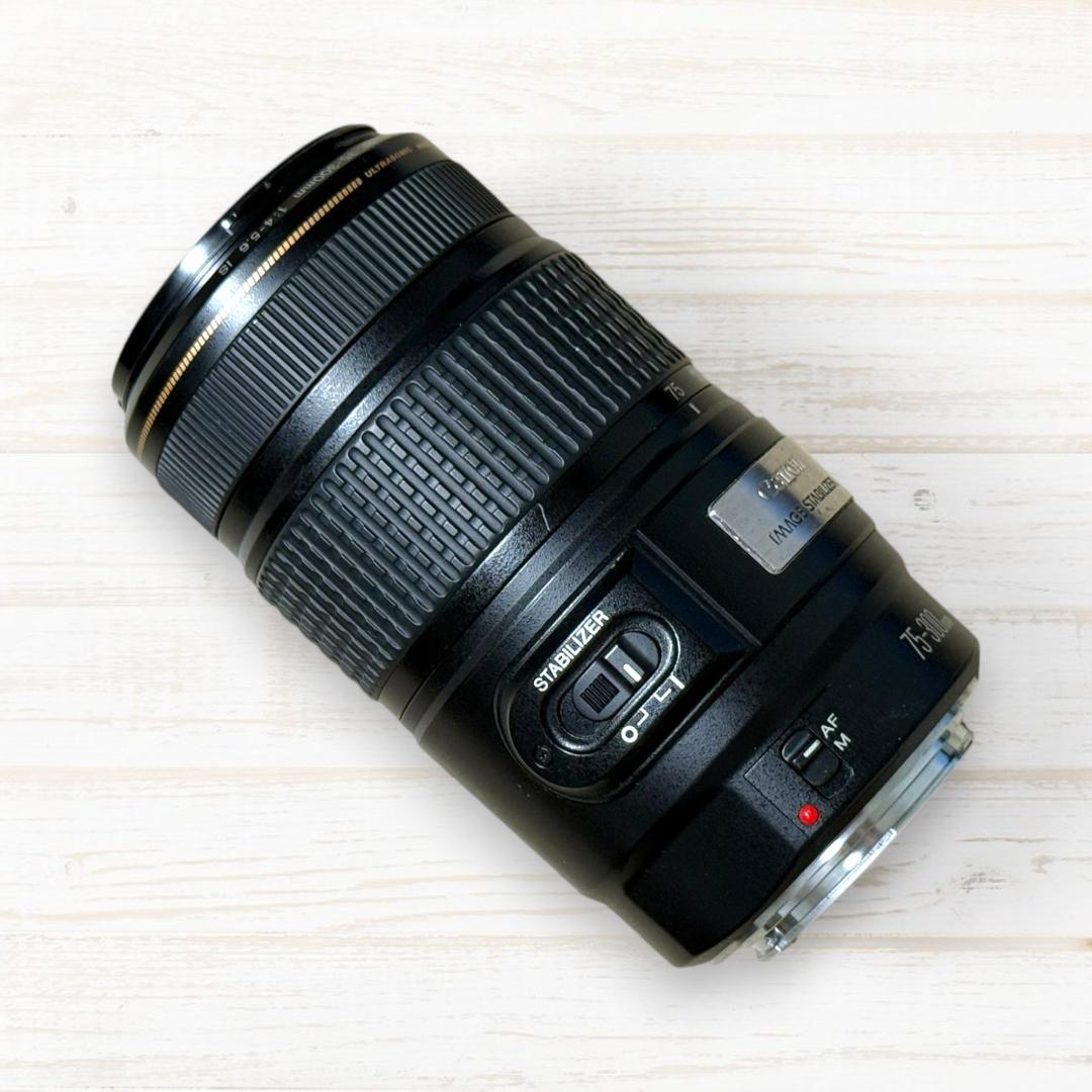 レンズ(ズーム) Canon EF 75-300mm F4-5.6 IS USM #94