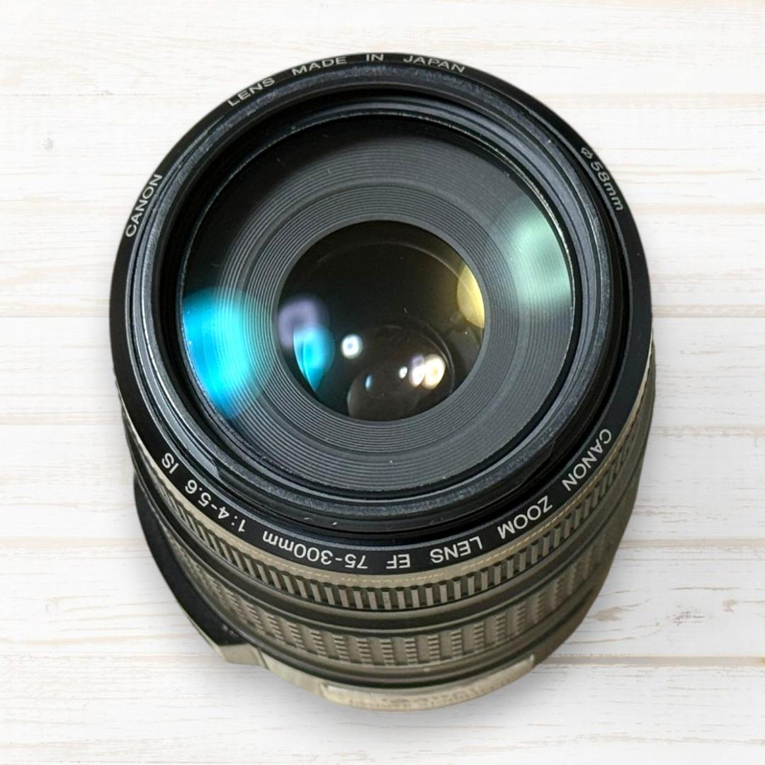 レンズ(ズーム) Canon EF 75-300mm F4-5.6 IS USM #94