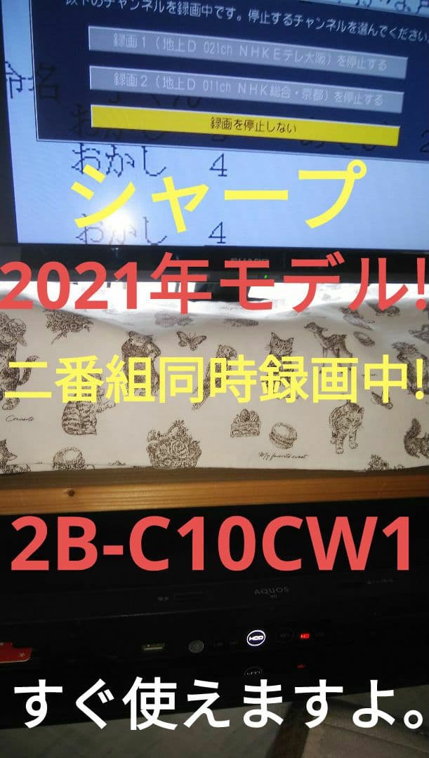 21年モデル実動美品/2B-C10CW1/二番組同録可/1TB/新リモ/4k再生
