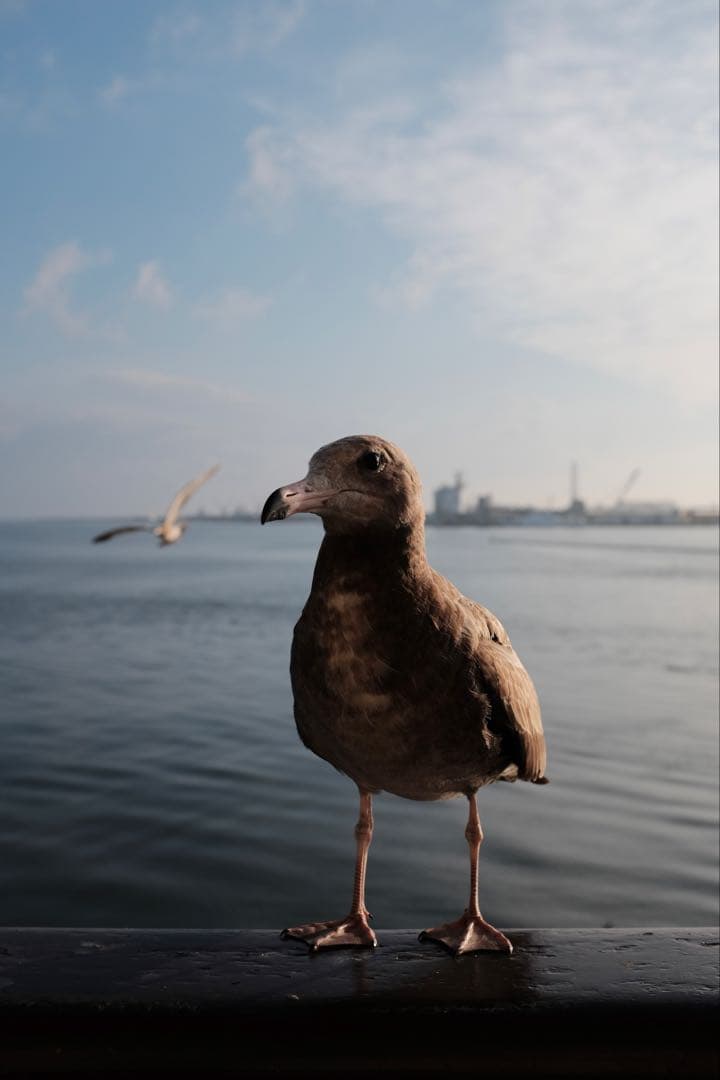 FUJIFILM X100T シルバー