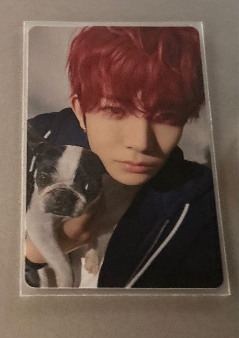 ENHYPENアンケートトレカ　全メンバー