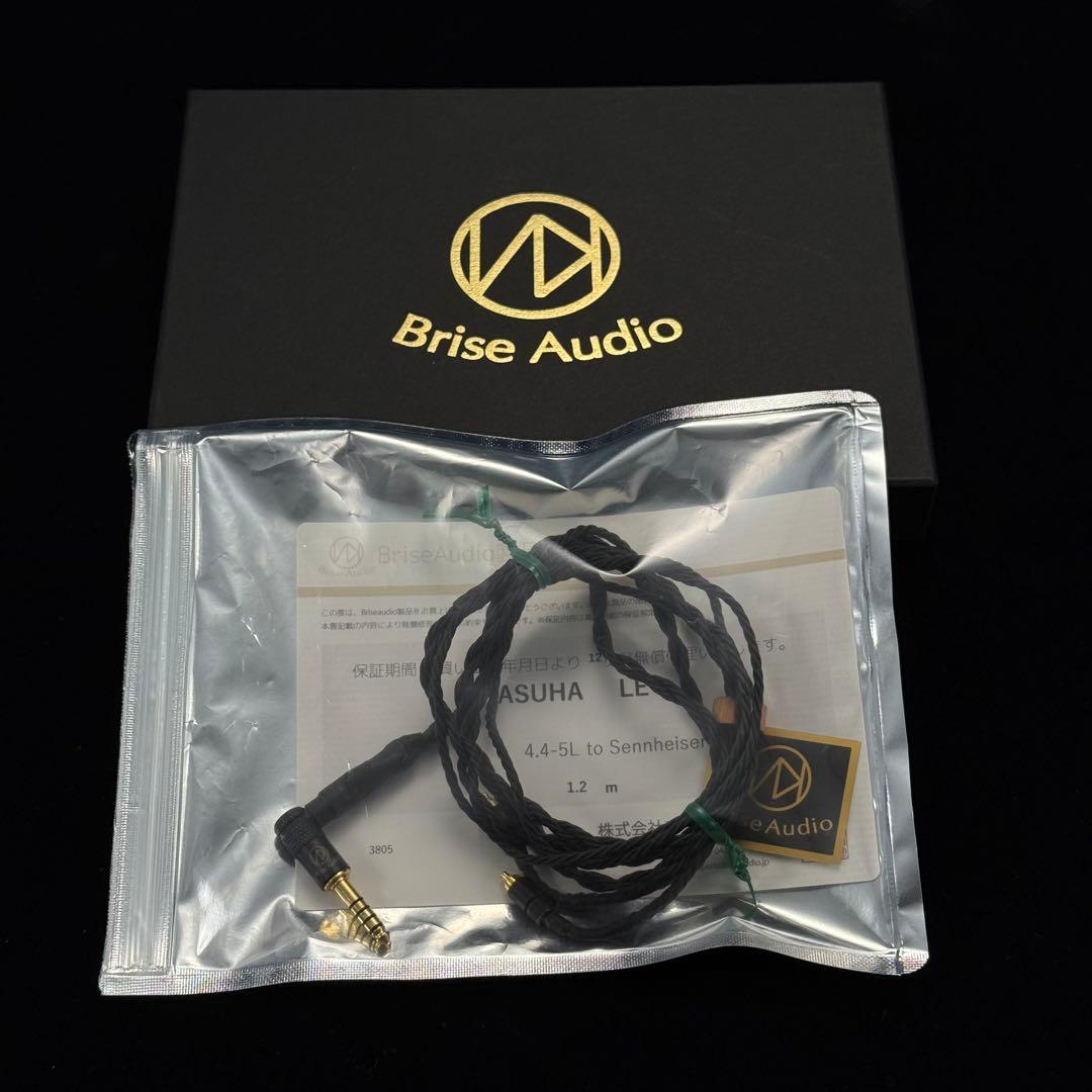 ゼンハイザーIE 900+ブリスオーディオASUHA-LEケーブル