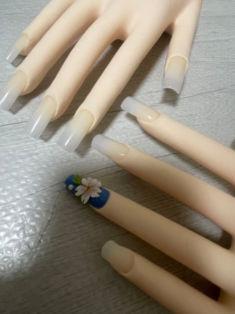 ネイル練習用手 認定ハンド