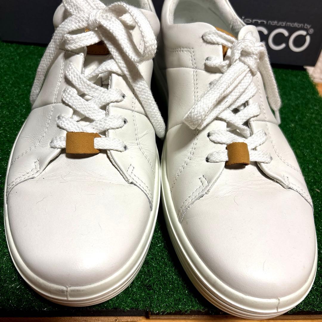 ECCO エコー　メンズ 本革 クラッシック スニーカー