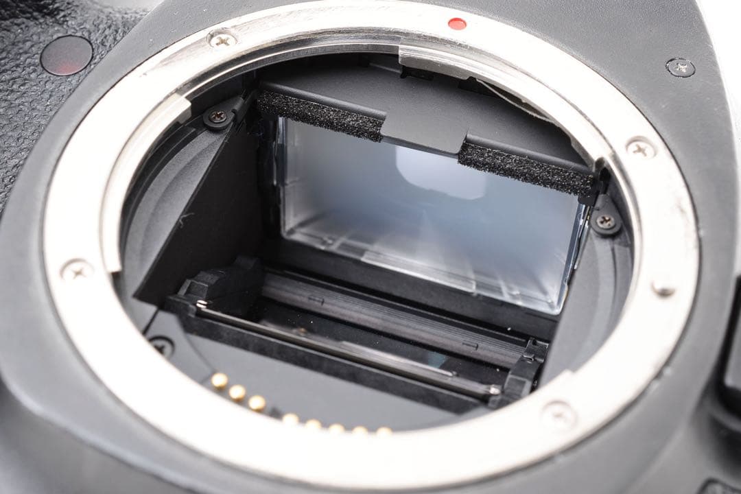 保証/Canon EOS 5D MarkIII 標準&望遠ダブルレンズセット