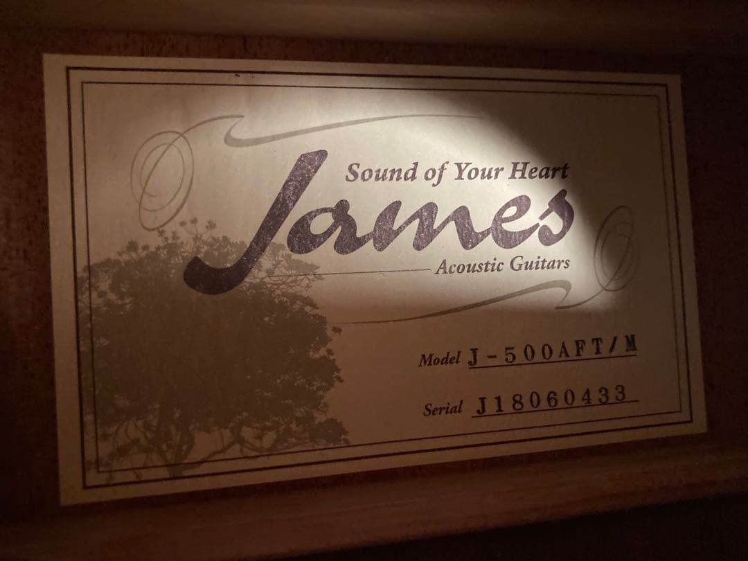 James J-500AFT/M ジェームスエレアコギター美品