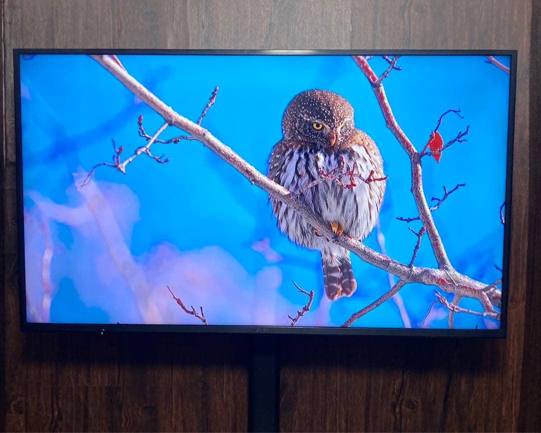 Hisense 4K液晶テレビ 50インチ 50A6100 2019年製