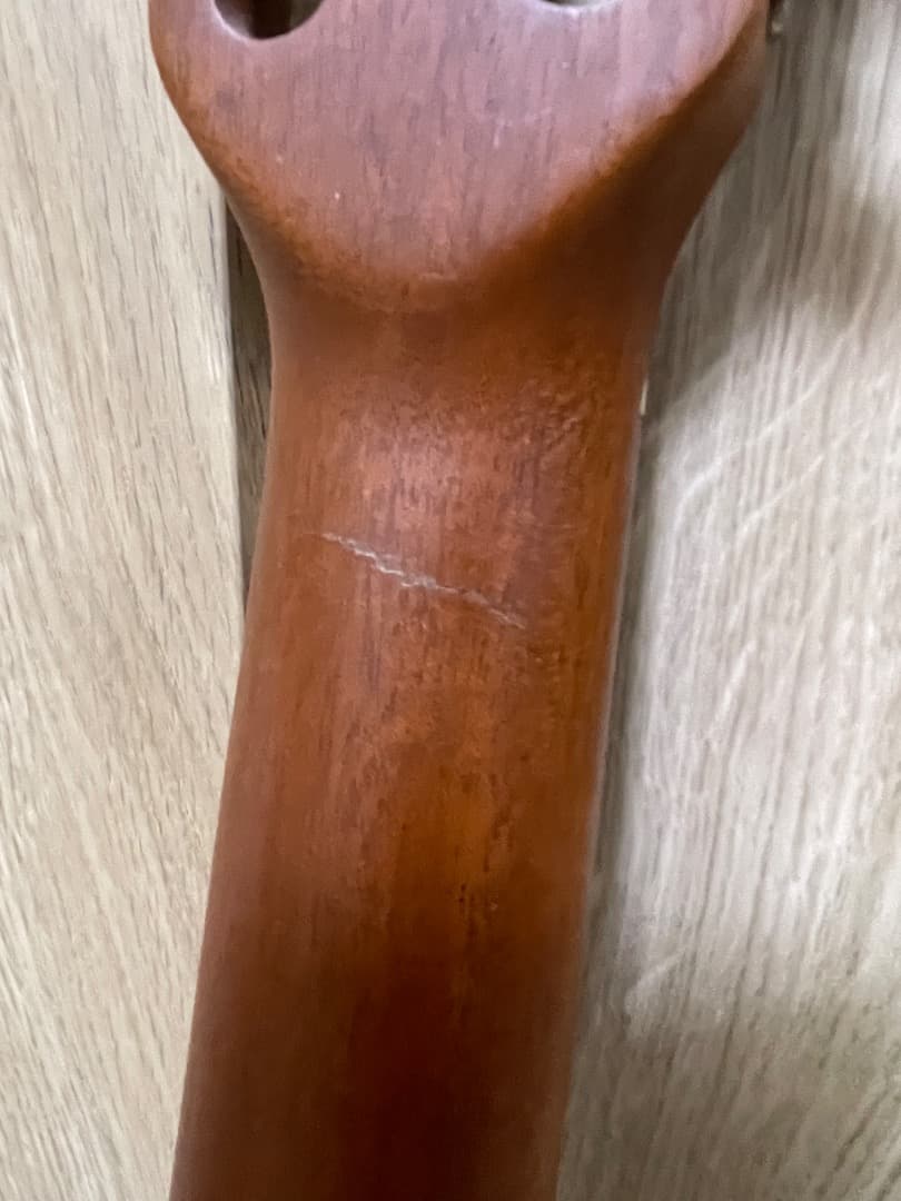 La Patrie Arena CW QIT エレガットギター GODIN製