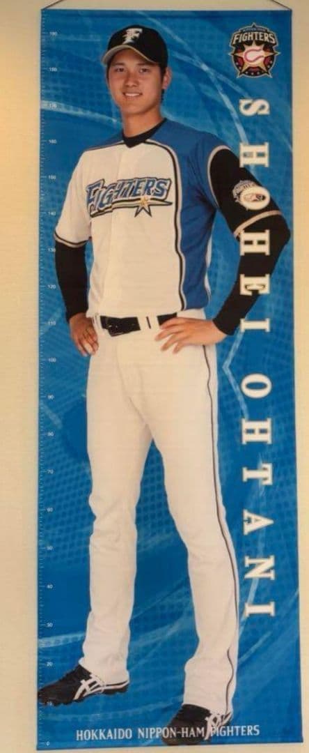 【ラスト一枚】大谷翔平 北海道日本ハムファイターズ 等身大タペストリー