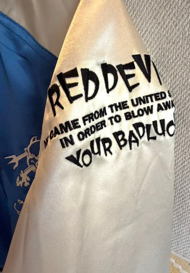 TEDMAN リバーシブル スカジャン