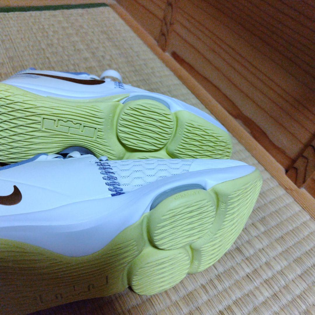 富樫勇樹選手サイン入りバスケットシューズ