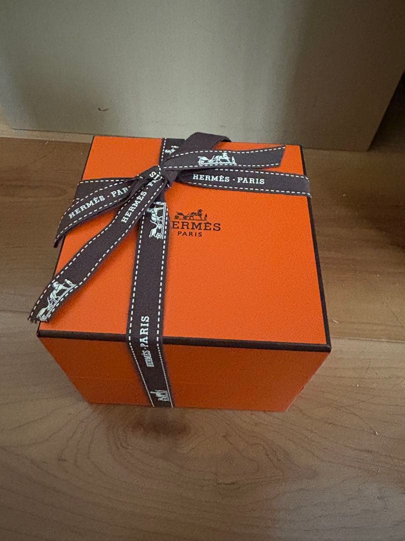 新品未使用‼️エルメスシェーヌダンクルTGM11コマ