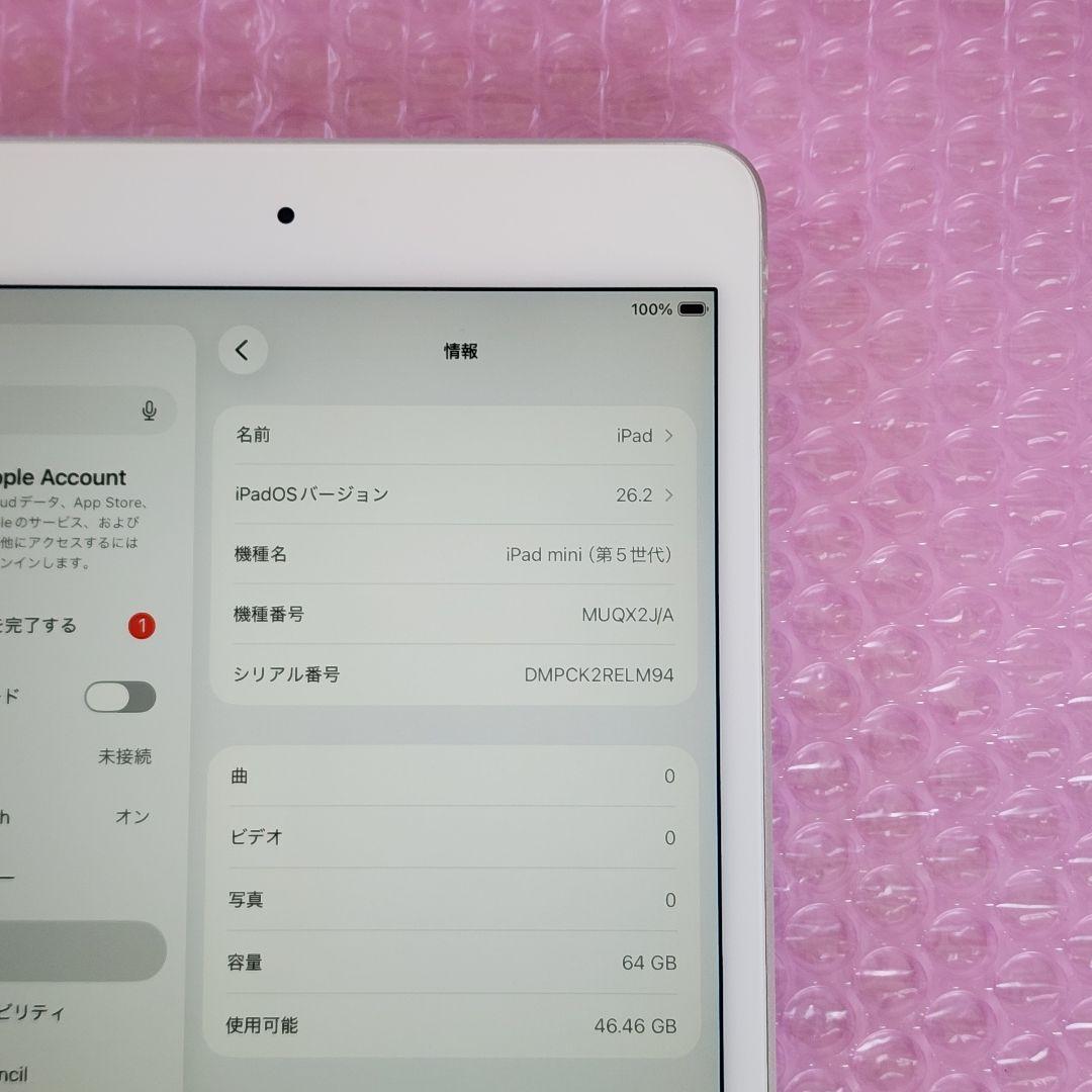 美品　iPad mini 第5世代　バッテリー良好　64GB　WiFiモデル