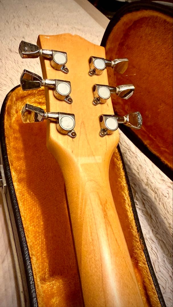 【レア・透明】アクリルレスポール