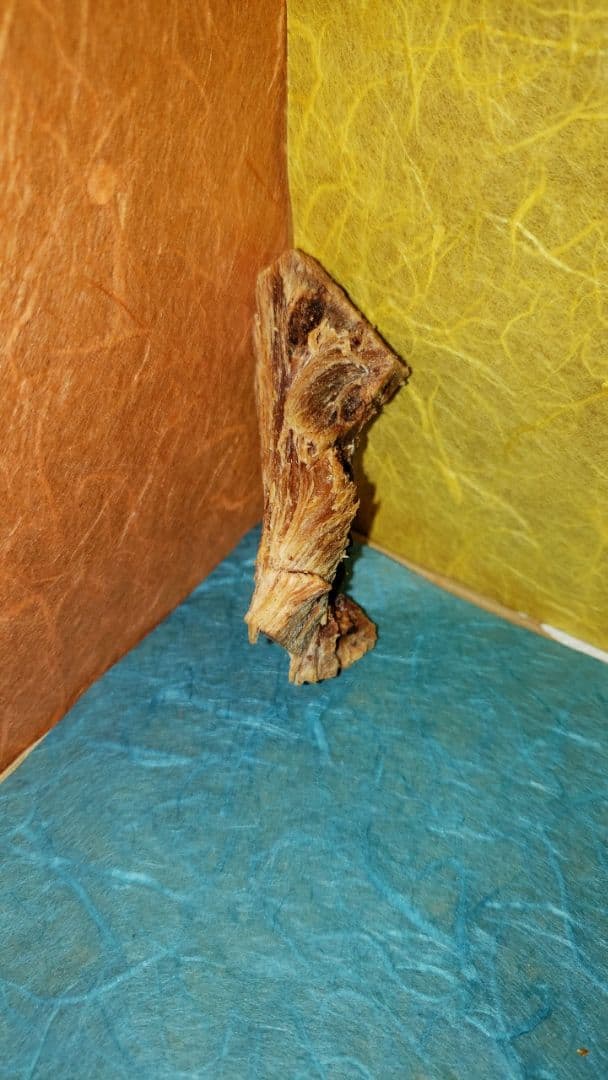 58 伽羅、六国五味、聞香、香木、沈香「ブルー白檀根瘤14,6g」