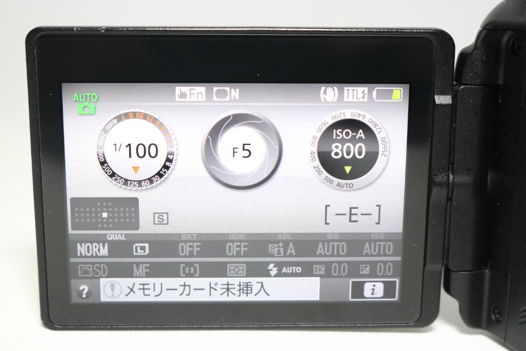 シリーズ最新！大人気⭐Nikon D5600 望遠レンズセット⭐初心者 一眼レフ