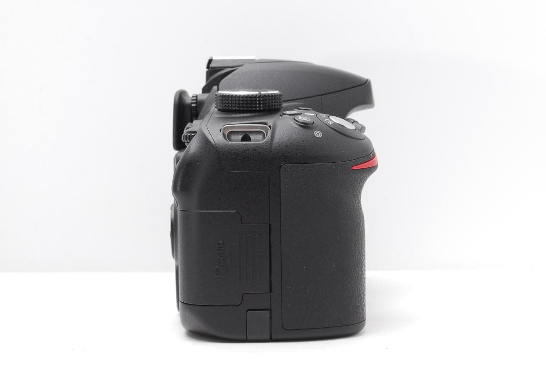 【ショット数４５１枚】Nikon D3200　スマホ転送　使用感少美品　動画OK