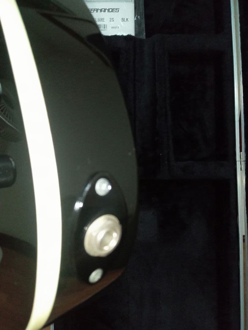 FERNANDES TEJ DELUXE 2S　純正ハードケース付き