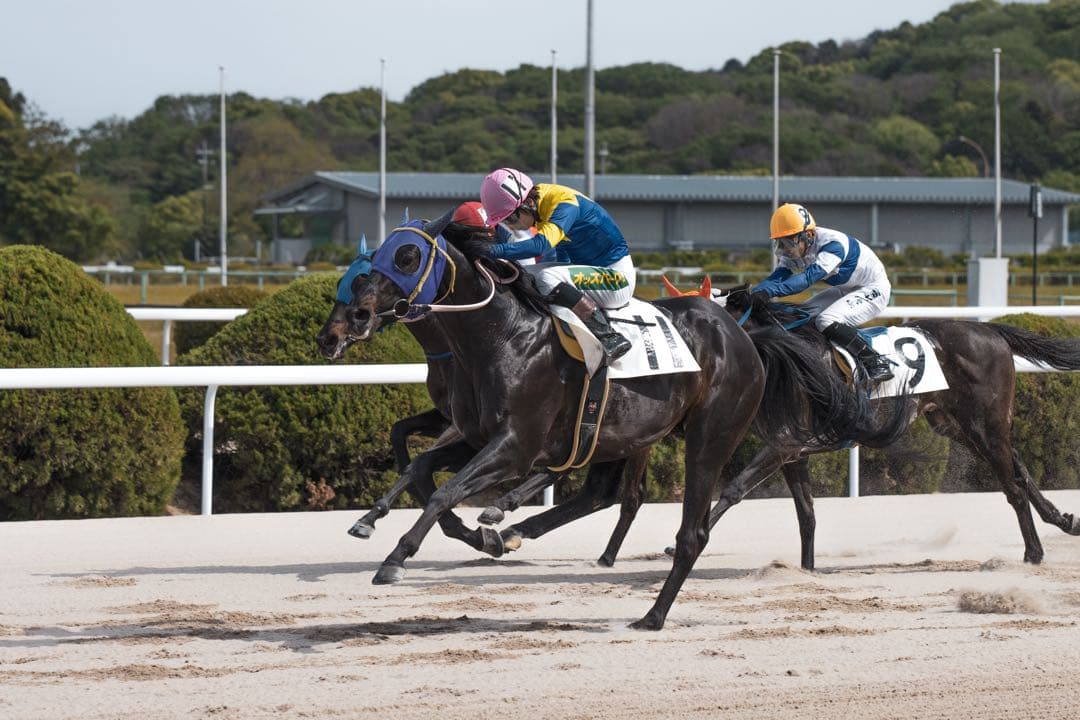 Canon EOS 90D ジャンク品