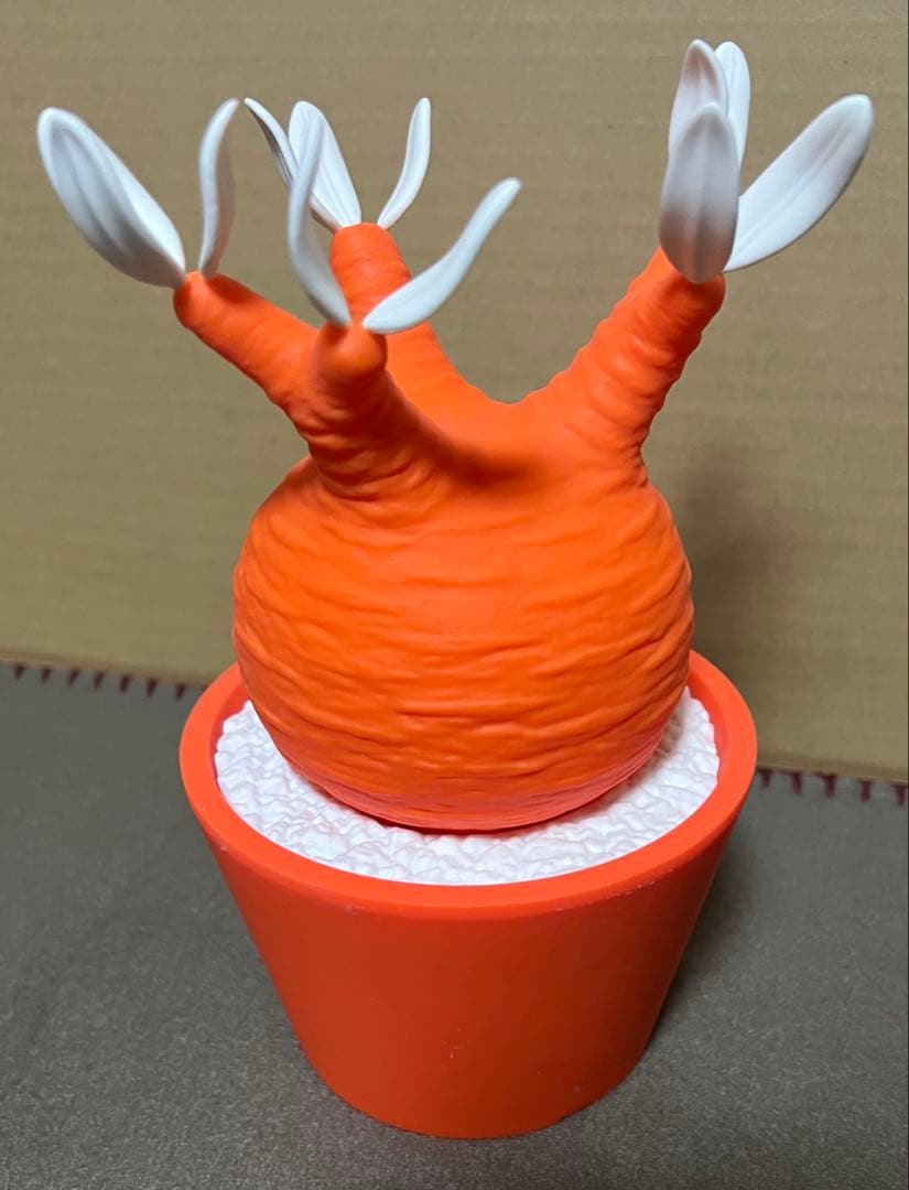 BOTANIZE × BEAMS × MEDICOM TOY グラキリス