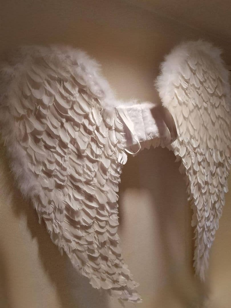 大きい天使の羽 ホワイト