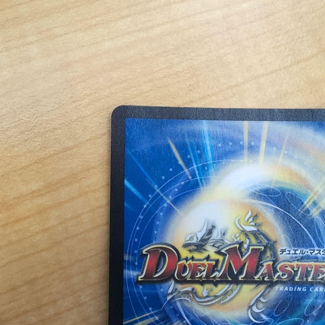 シャコガイル　a