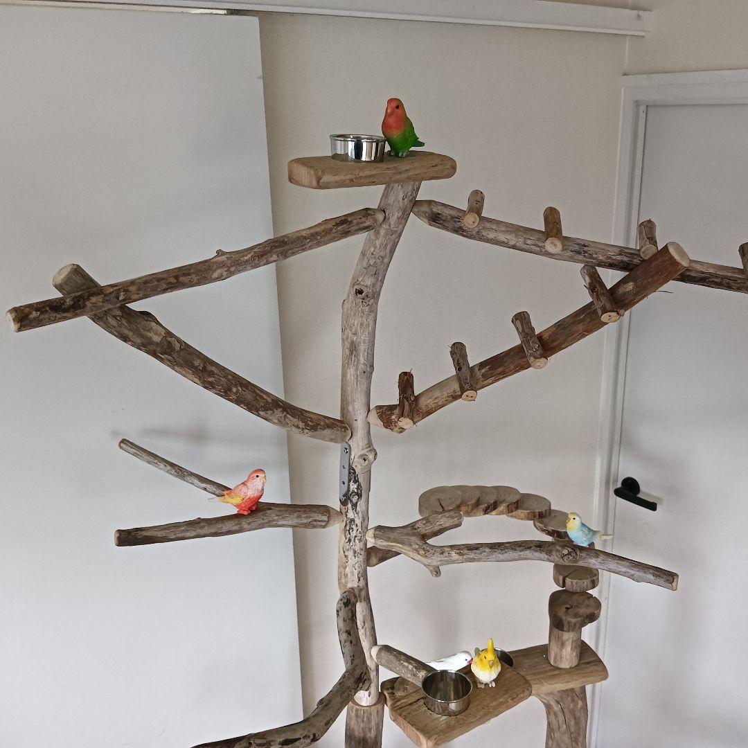 びぐ バードアスレチックジム大型 天然木 自然木 流木 インコ おもちゃ