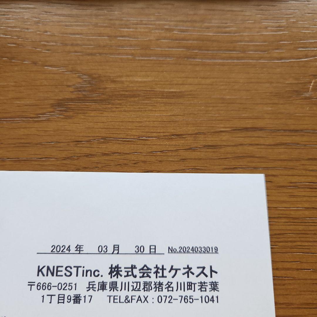 復刻版　超強力神経波磁力線発生器『政木和三先生発明』